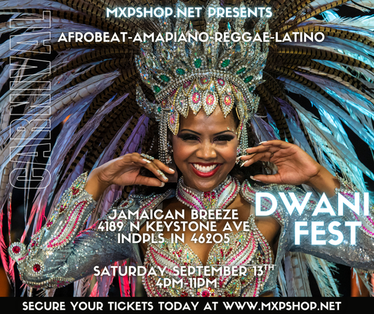Afrobeats, Amapiano, Reggae, Latino (International Link Up Music Festival) Sept. 13th - Dwani Fest